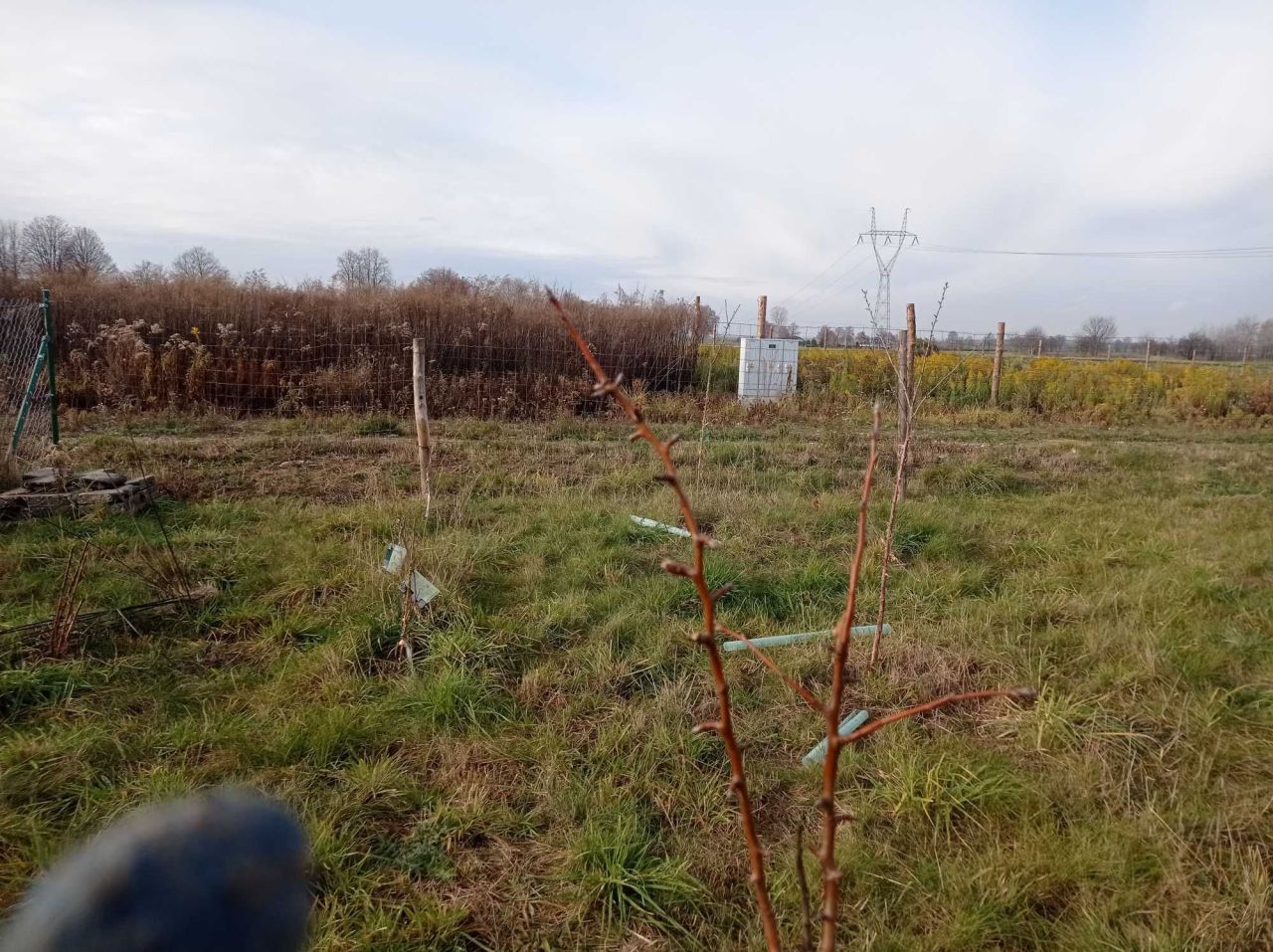 Działka budowlana Wilczopole-Kolonia. Zdjęcie 3