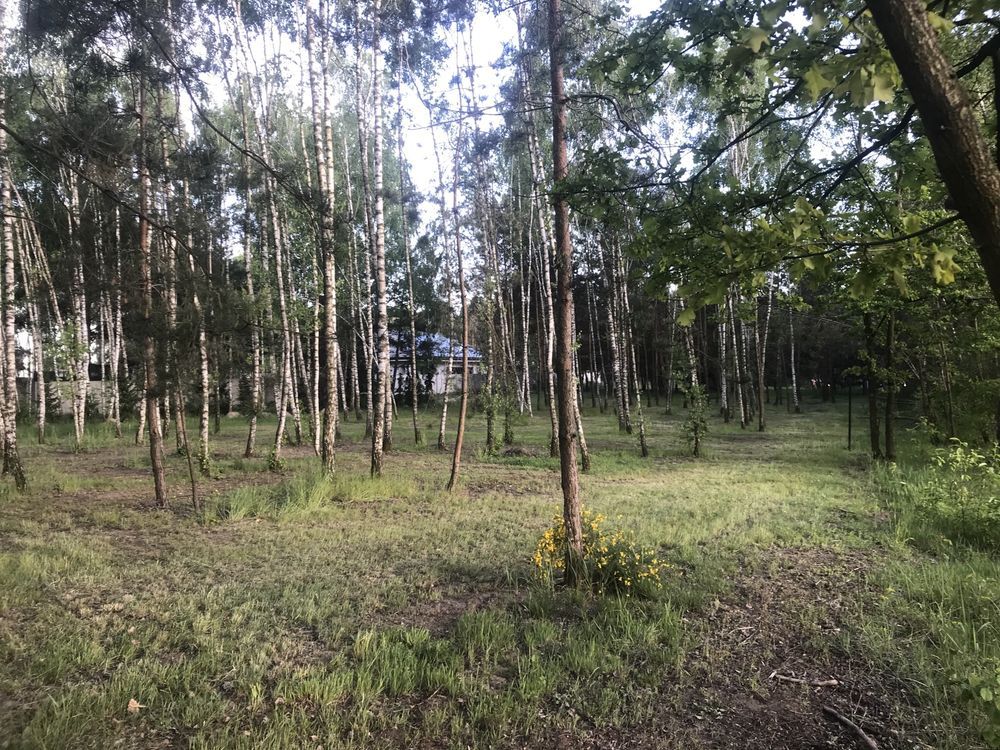 Działka budowlana Korczew. Zdjęcie 5