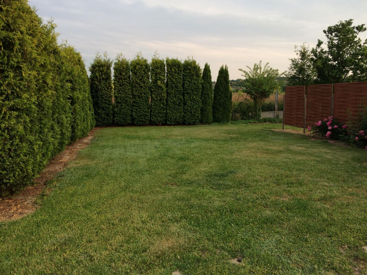 Działka rekreacyjna Trzebnica, ul. Prusicka. Zdjęcie 6