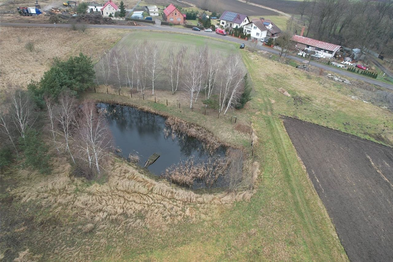 Działka budowlana Korzeńsko, ul. Chodlewska. Zdjęcie 16