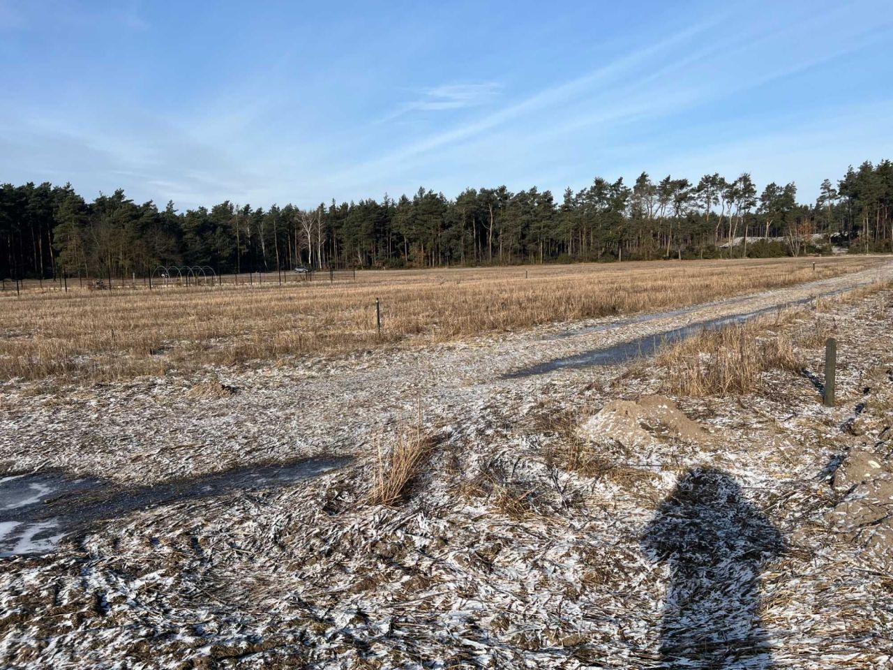 Działka budowlana Nowa Plewnia. Zdjęcie 1