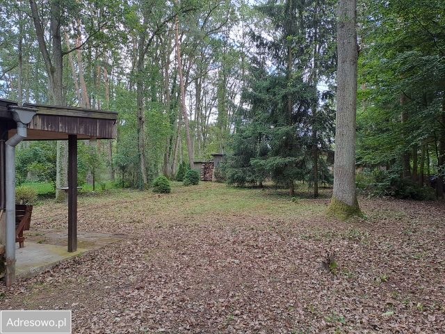 Działka rekreacyjna Sokolniki-Las, ul. Krańcowa. Zdjęcie 1