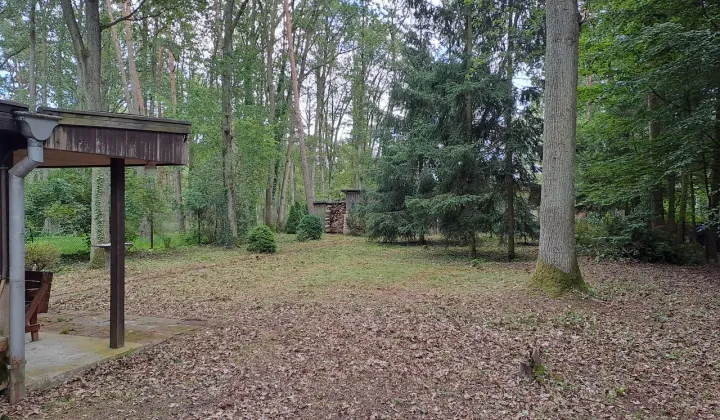 Działka rekreacyjna Sokolniki-Las, ul. Krańcowa