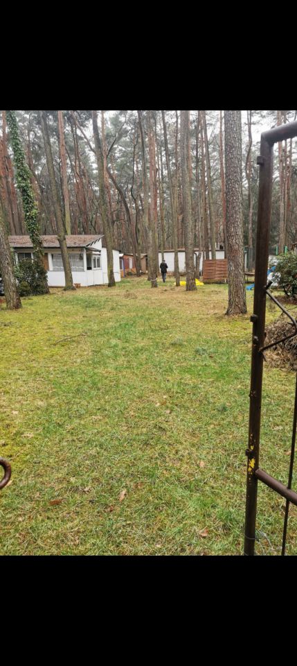 Działka budowlana Sokolniki-Las, Kochanowskiego. Zdjęcie 1