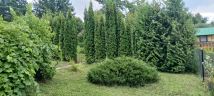 Działka rod Lublin Choiny, ul. Czeremchowa. Jakubowice Konińskie. Zdjęcie 2