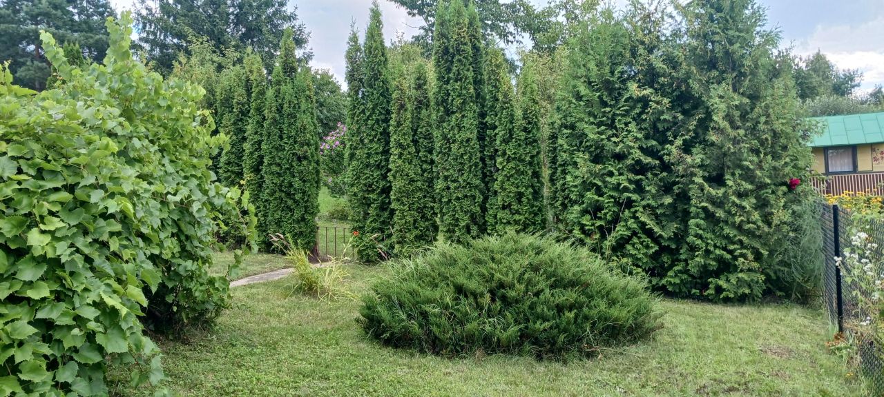 Działka rod Lublin Choiny, ul. Czeremchowa. Jakubowice Konińskie. Zdjęcie 3