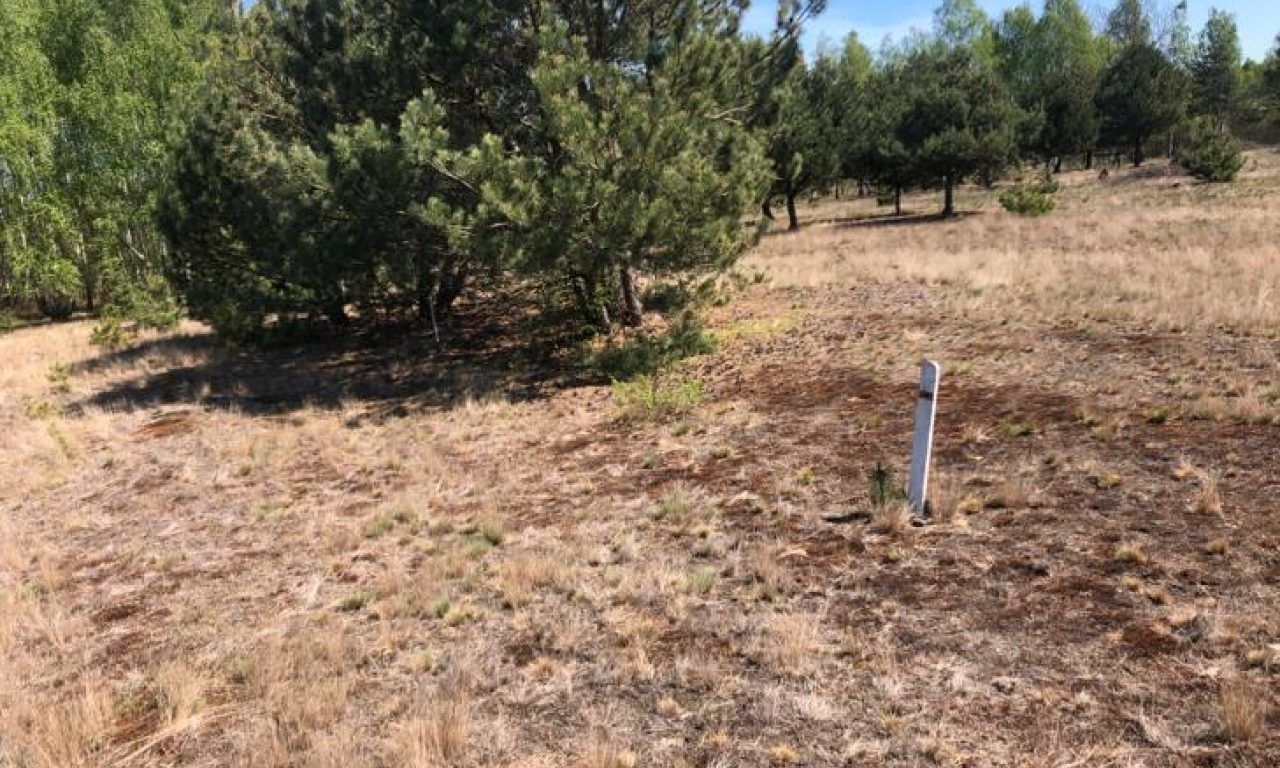 Działka budowlana Tomaszew. Zdjęcie 10