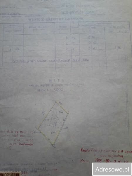 Działka rolna Myśliborskie Holendry. Zdjęcie 2