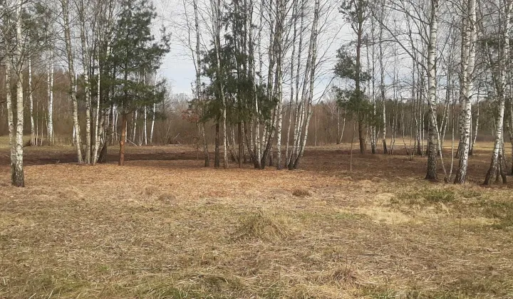 Działka budowlana Daleszyce