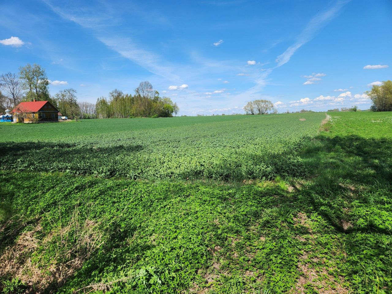 Działka rolna Pasynki