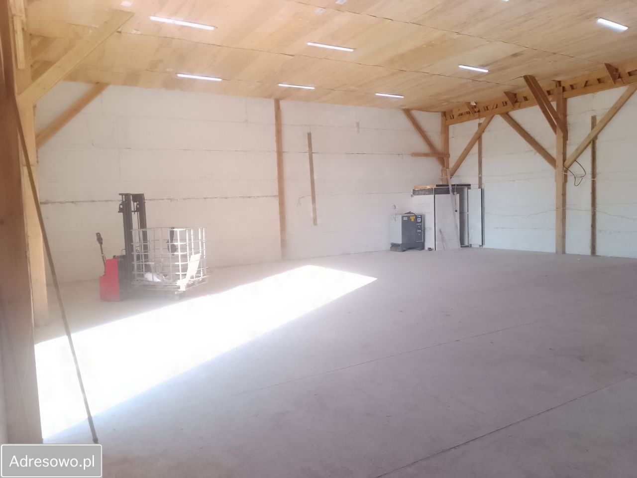 Hala/magazyn Kajetany, ul. Rolna. Zdjęcie 15