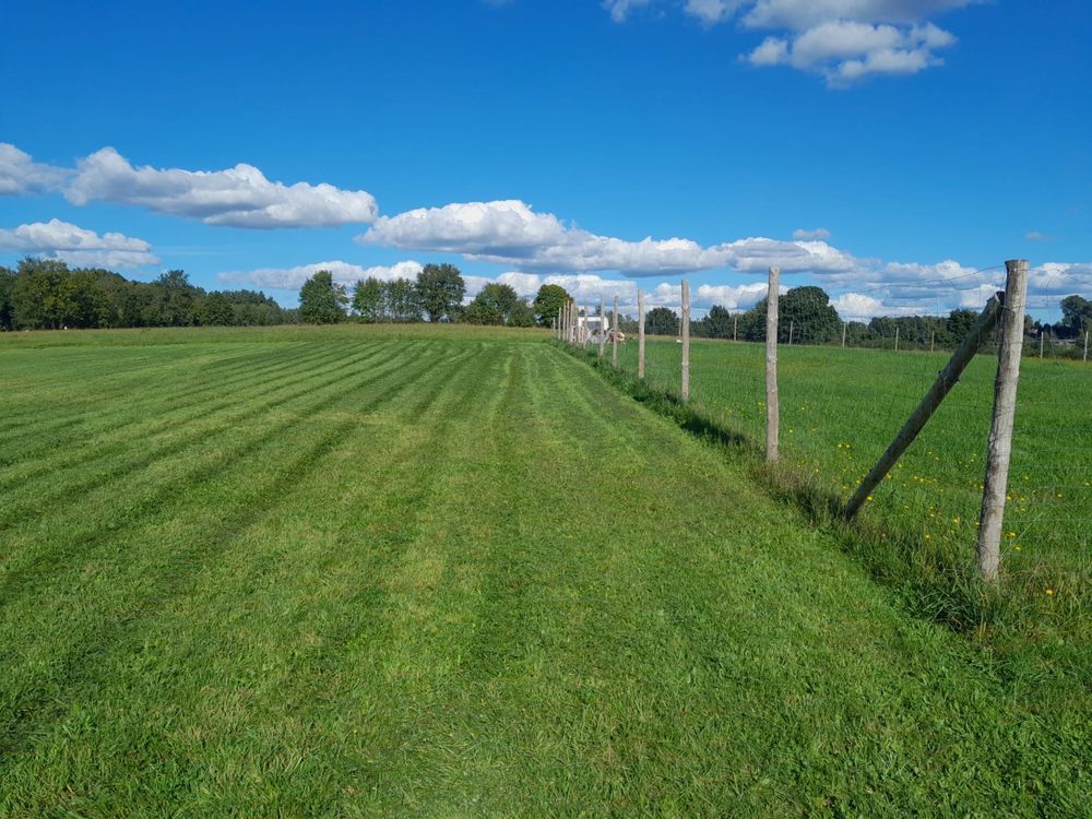 Działka budowlana Pomianowo. Zdjęcie 8