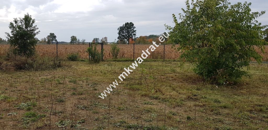 Działka budowlana Terenia. Zdjęcie 4