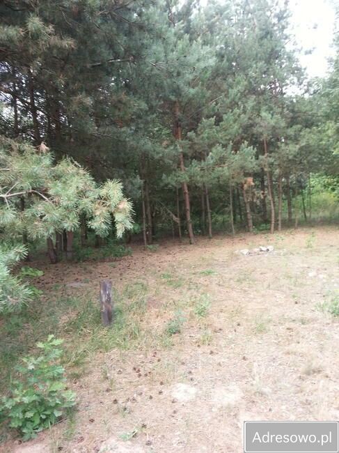 Działka budowlana Kamion. Zdjęcie 6