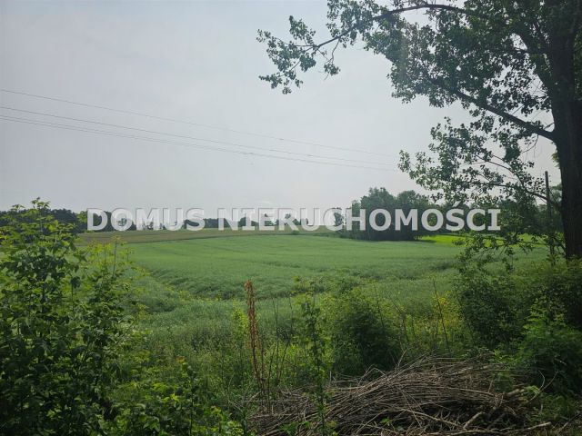 Działka rolna Gałkówek-Parcela. Zdjęcie 2