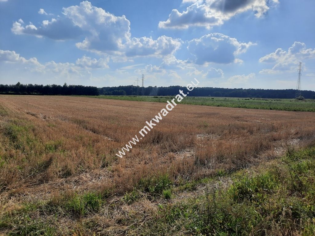 Działka inwestycyjna Walendów. Zdjęcie 1