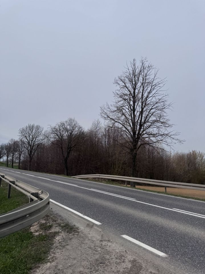 Działka rolna Marcinkowice. Zdjęcie 2