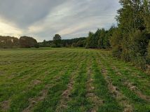 Działka rolna Lipowica. Zdjęcie 2