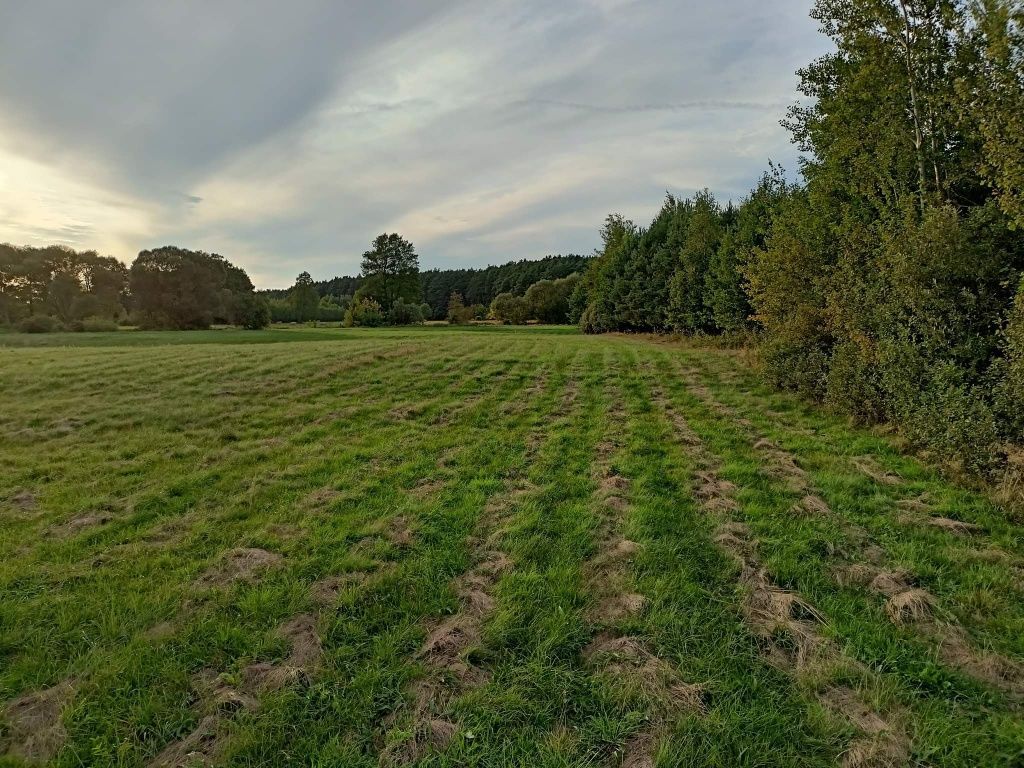 Działka rolna Lipowica. Zdjęcie 3