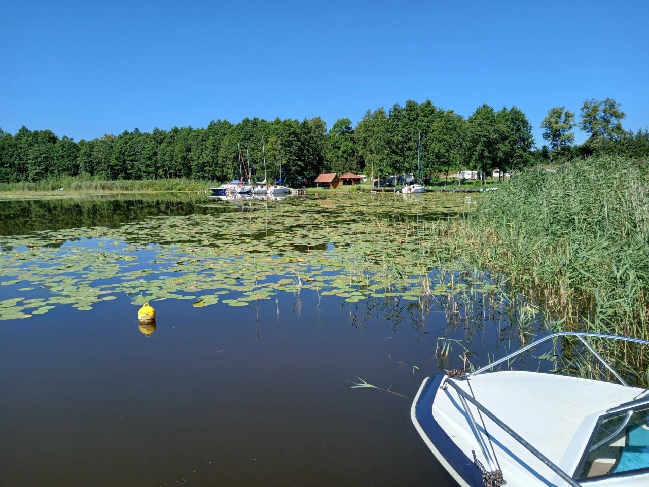 Działka rekreacyjna Dobrzyki. Zdjęcie 6