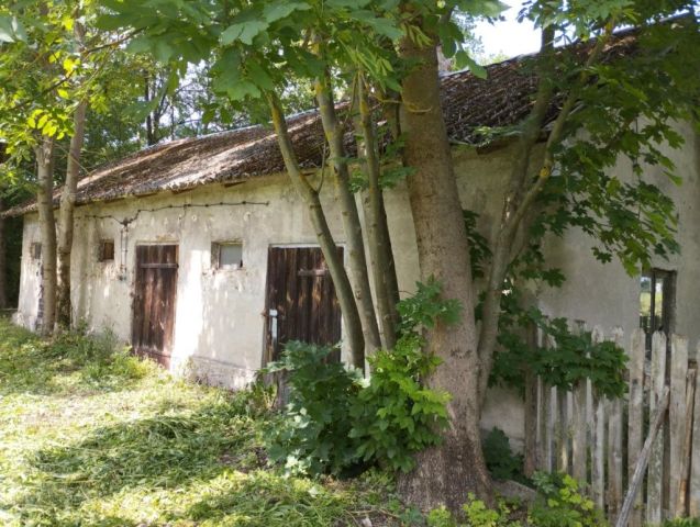 Działka budowlana Wujówka. Zdjęcie 1