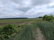 Działka rolna Zarębin