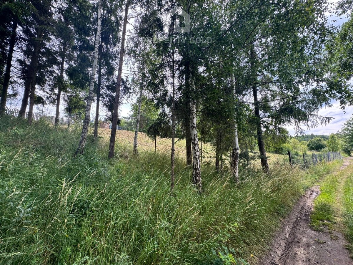 Działka rekreacyjna Łapalice. Zdjęcie 17