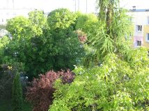 Mieszkanie 3-pokojowe Poznań Rataje, os. Bohaterów II Wojny Światowej. Zdjęcie 2