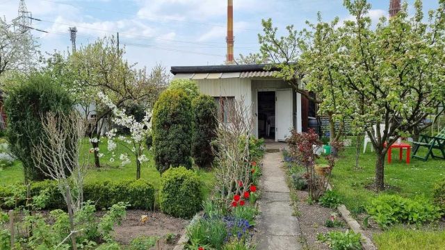 Działka rod Opole. Zdjęcie 1