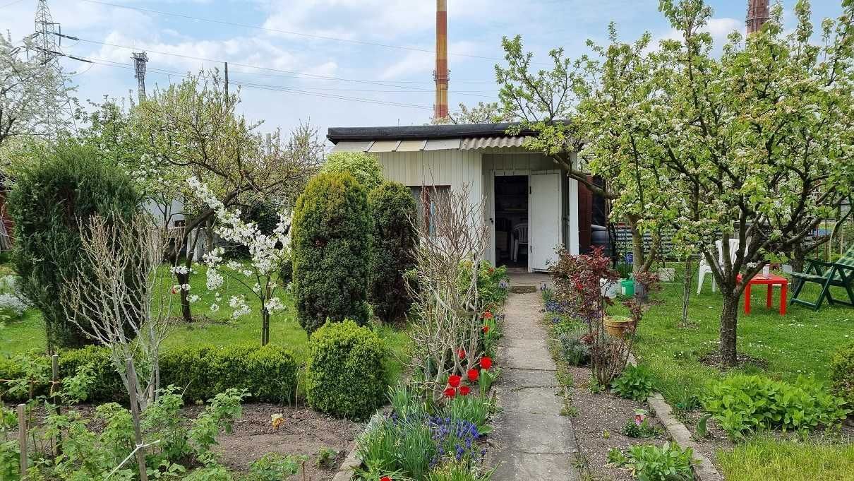 Działka rod Opole. Zdjęcie 1