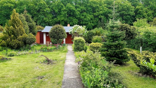 Działka rod Chełmno. Zdjęcie 1