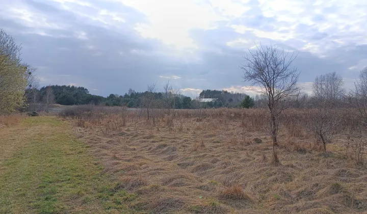 Działka rolna Rajec Poduchowny