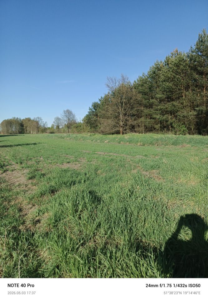 Działka budowlana Feliksów. Zdjęcie 2