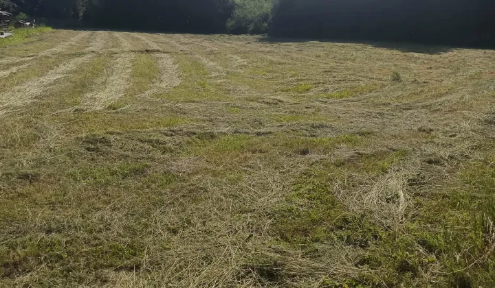 Działka budowlana Białka