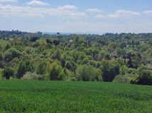 Działka budowlana Ochojno, ul. Gołębia. Zdjęcie 2