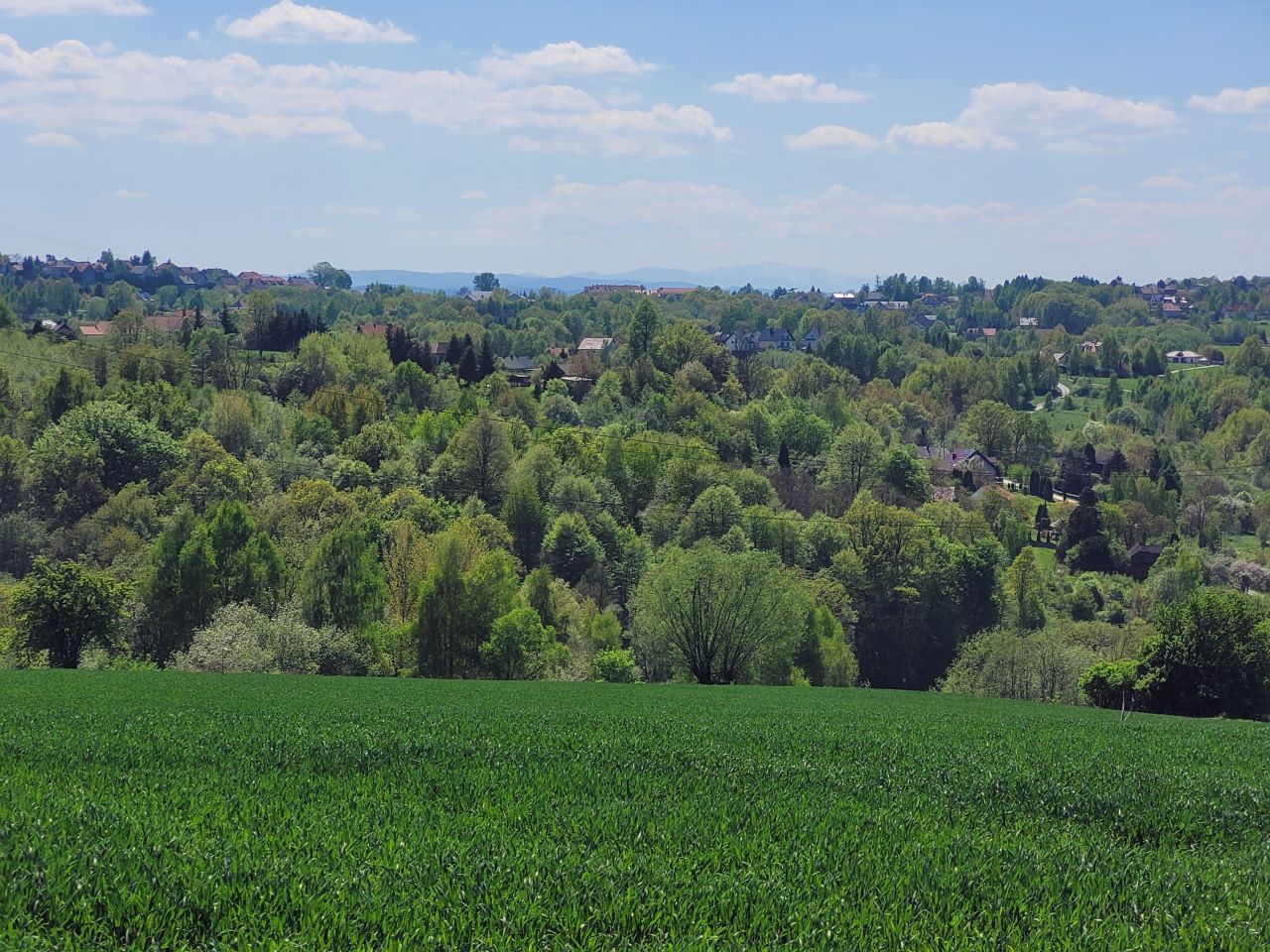 Działka budowlana Ochojno, ul. Gołębia. Zdjęcie 3