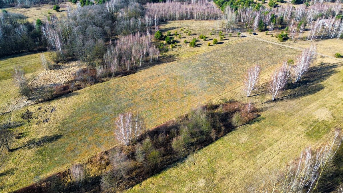 Działka rolna Stare Budy Radziejowskie. Zdjęcie 4