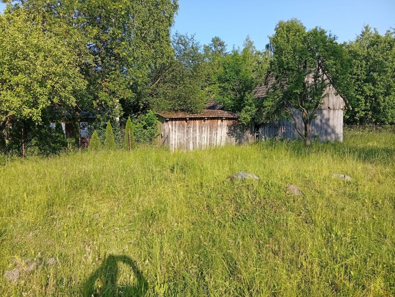 Działka siedliskowa Strzelce. Zdjęcie 9