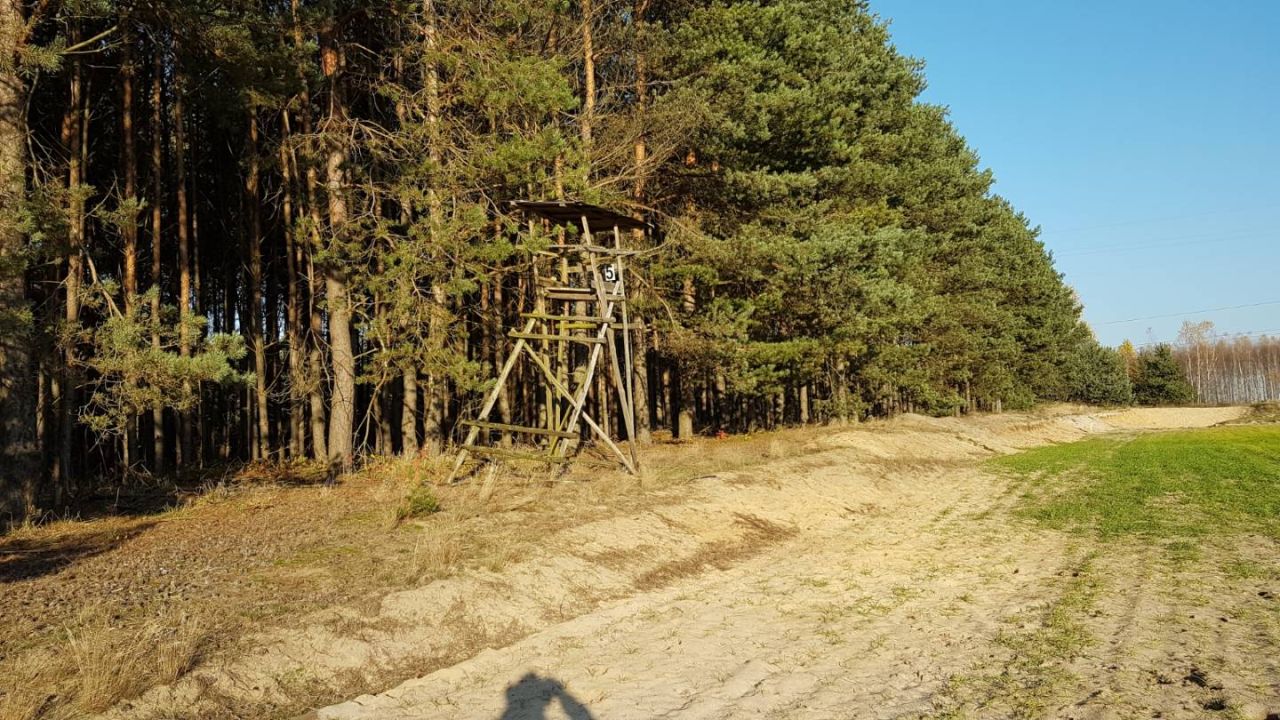 Działka rekreacyjna Drużykowa. Zdjęcie 4