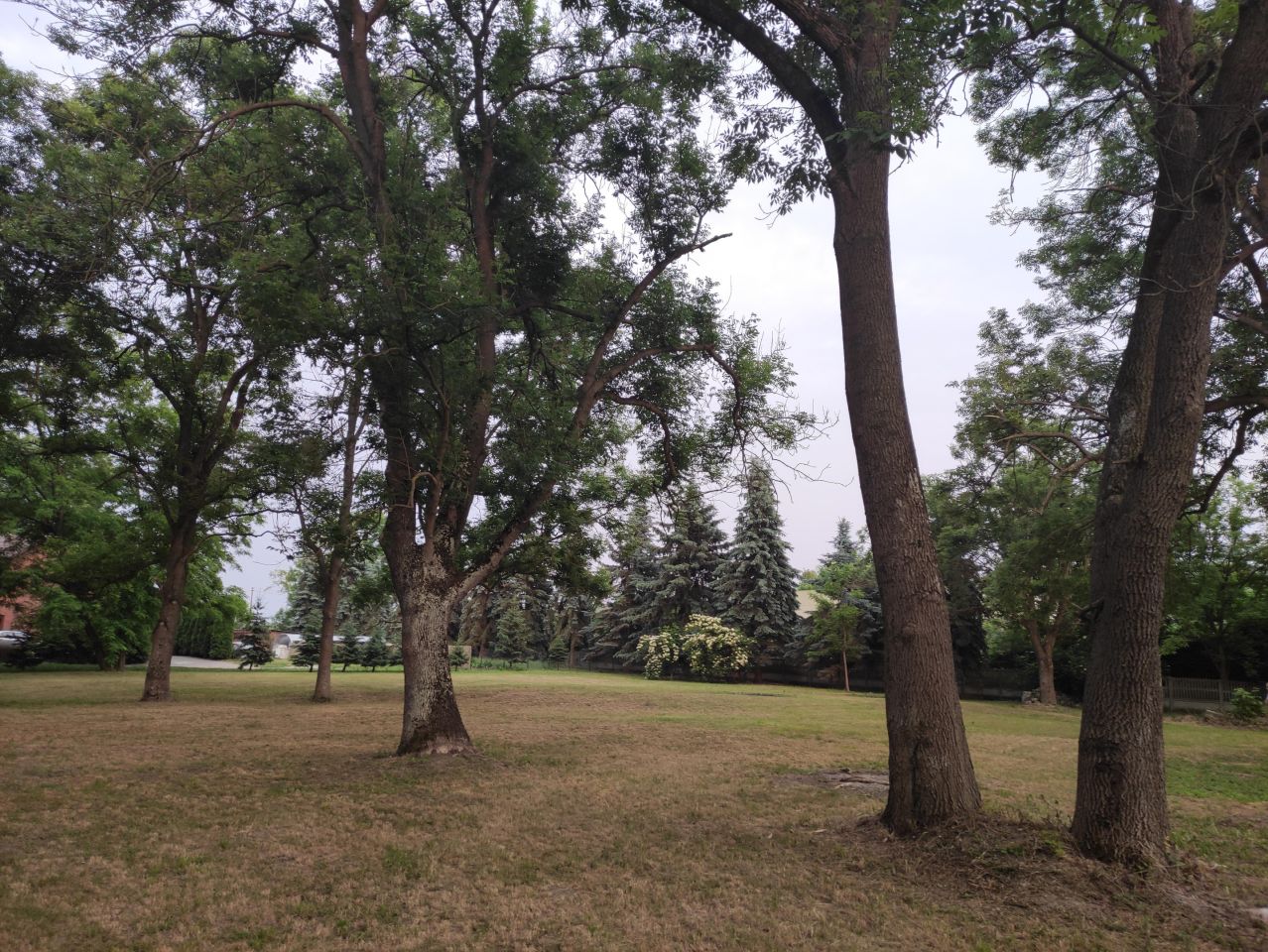 Działka siedliskowa Oblas, ul. Kasztanowa. Zdjęcie 7