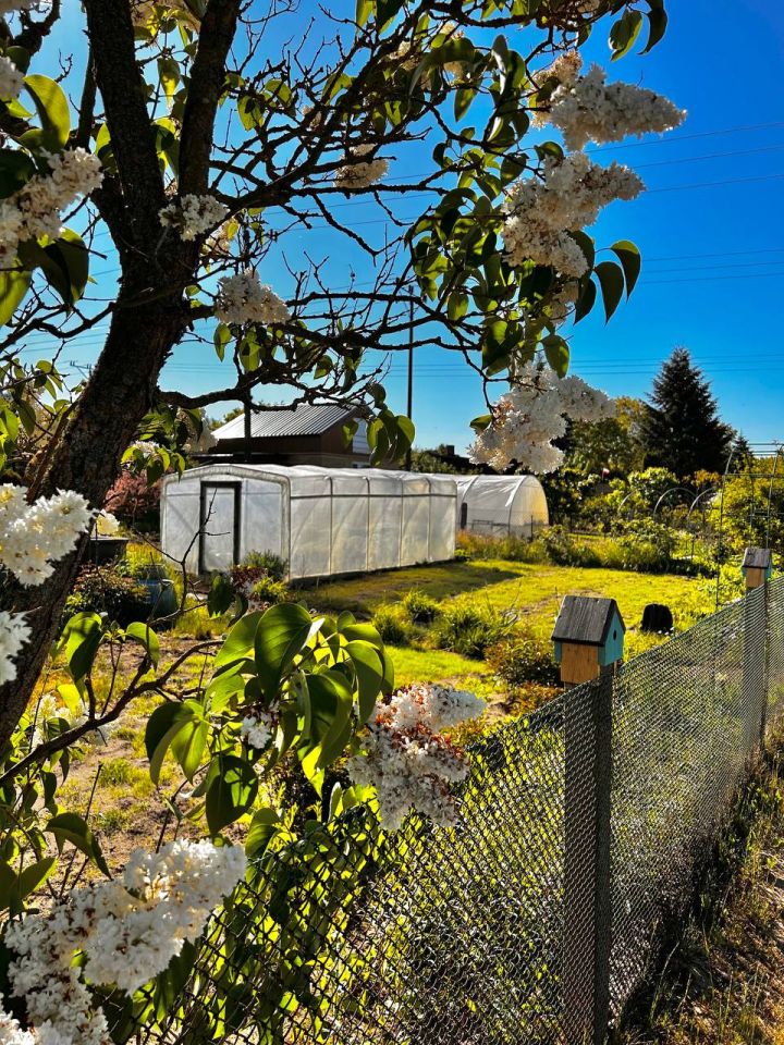 Działka rod Stargard, ul. Grudziądzka. Zdjęcie 8