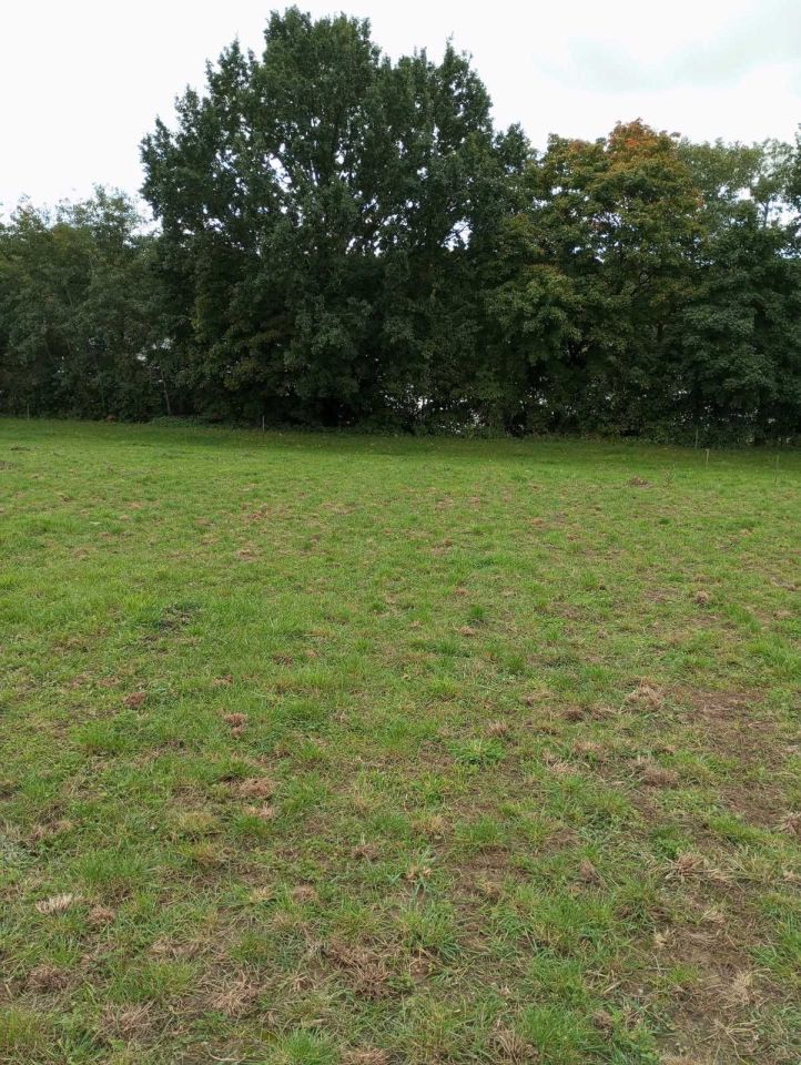 Działka inwestycyjna Długie. Zdjęcie 8