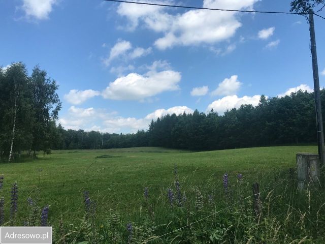 Działka rolno-budowlana Siniec Rypławki. Zdjęcie 1