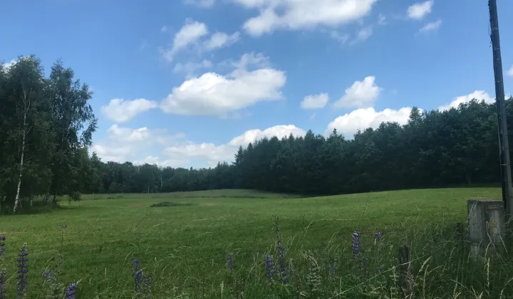 Działka rolno-budowlana Siniec Rypławki