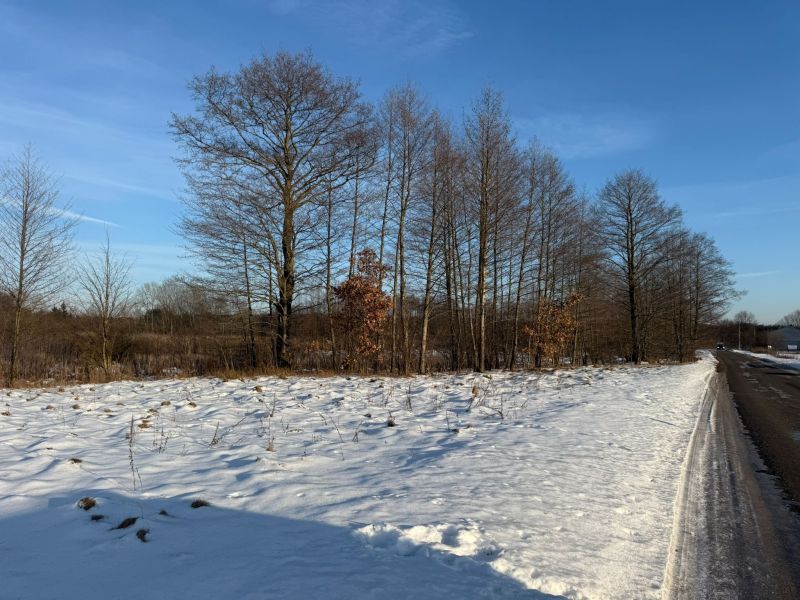 Działka rekreacyjna Huta Nowa. Zdjęcie 10