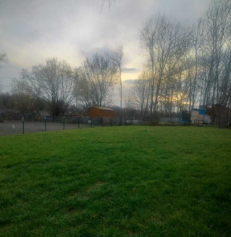 Działka rod Czeladź. Zdjęcie 1