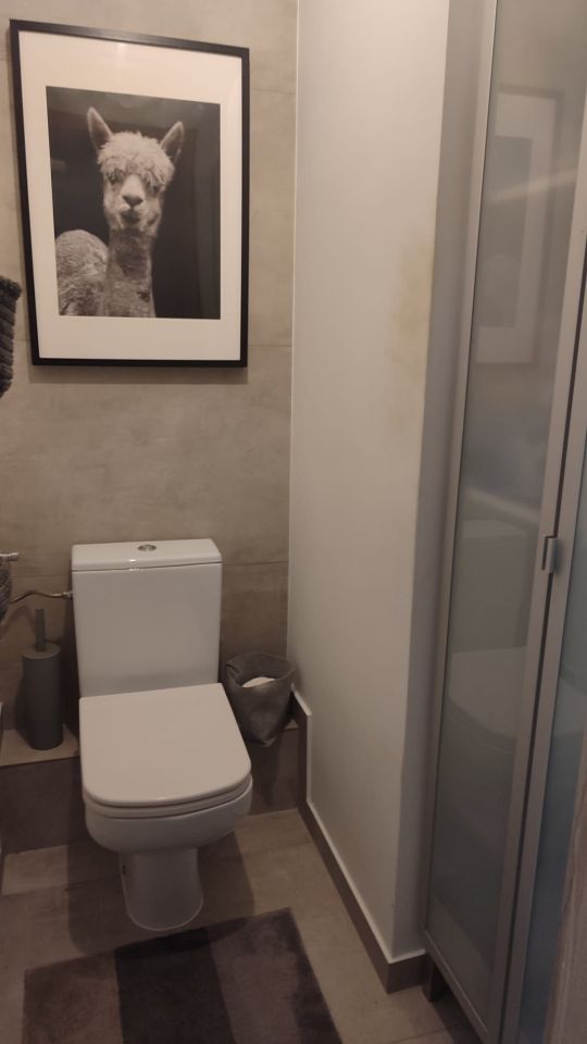 Pokój Poznań Winogrady. Zdjęcie 4