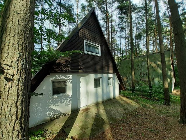 dom wolnostojący, 4 pokoje Borzechowo. Zdjęcie 1