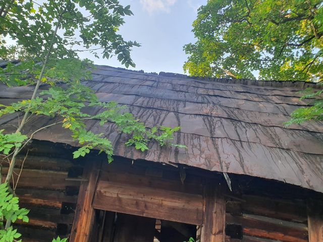 Działka rolno-budowlana Zakopane Olcza. Zdjęcie 3