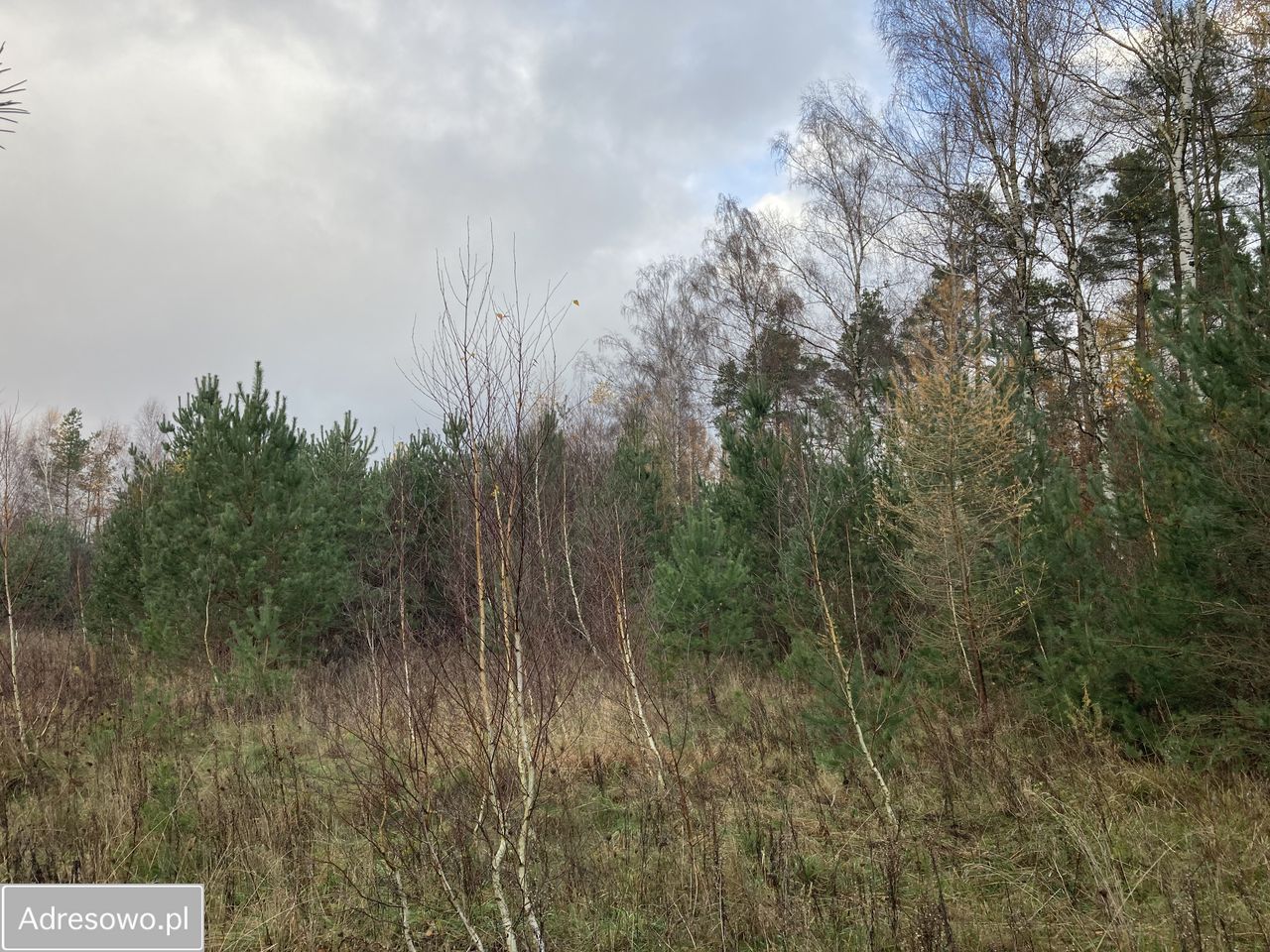 Działka budowlana Banino, ul. Bursztynowa. Zdjęcie 9